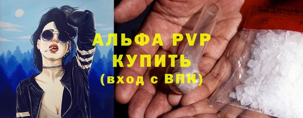 прущие грибы Балахна