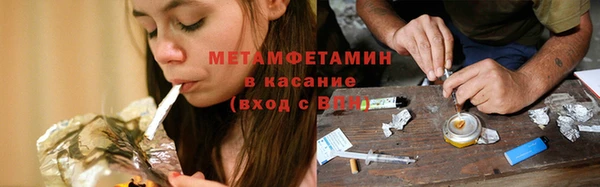 прущие грибы Балахна