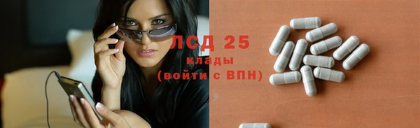 прущие грибы Балахна