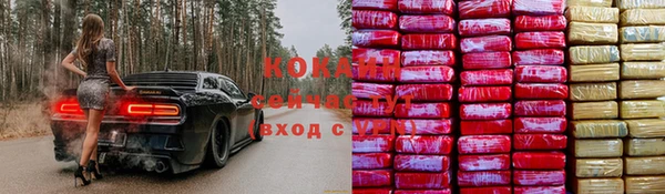прущие грибы Балахна
