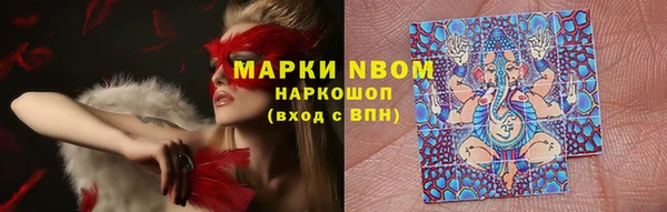 прущие грибы Балахна