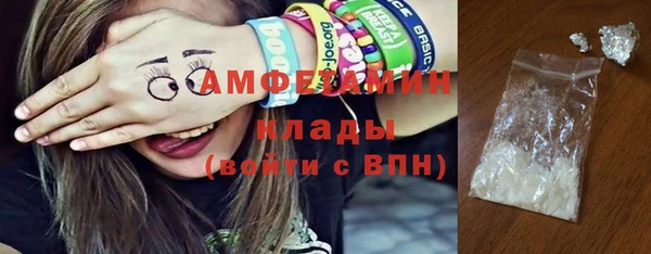 прущие грибы Балахна