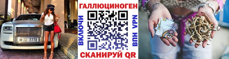 MEGA   Лосино-Петровский  Псилоцибиновые грибы мицелий 